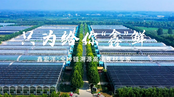 只为给你“鑫”鲜 鑫宏洋首支宣传片正式上线